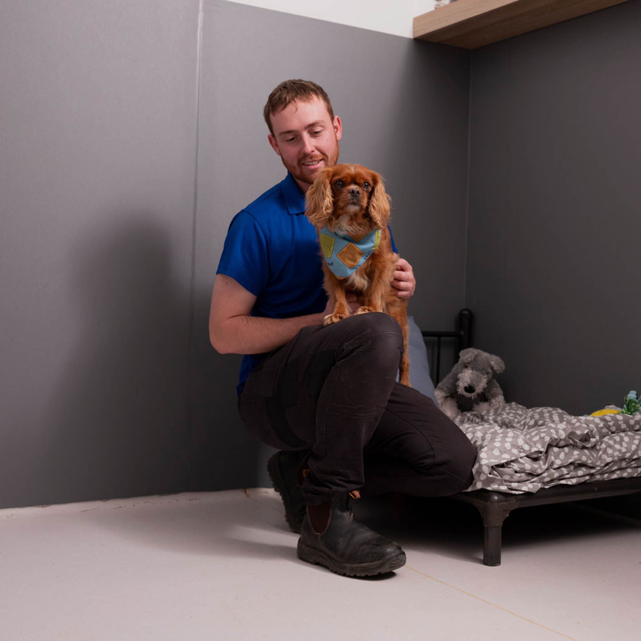 Dog Boarding